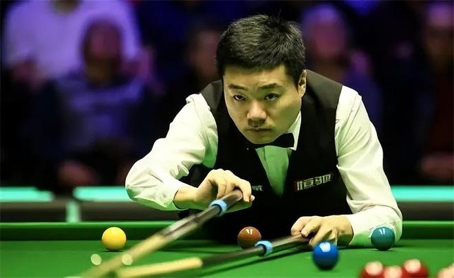 他们不仅能 他们不仅能