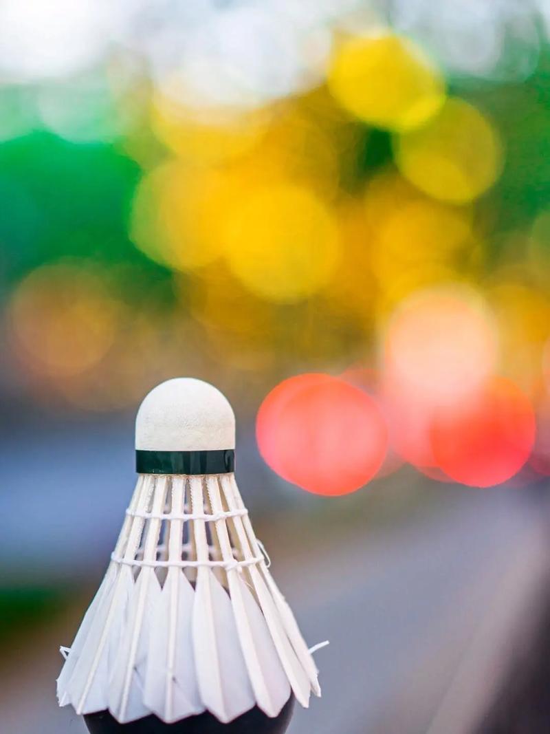 赛旅行或城 赛旅行或城