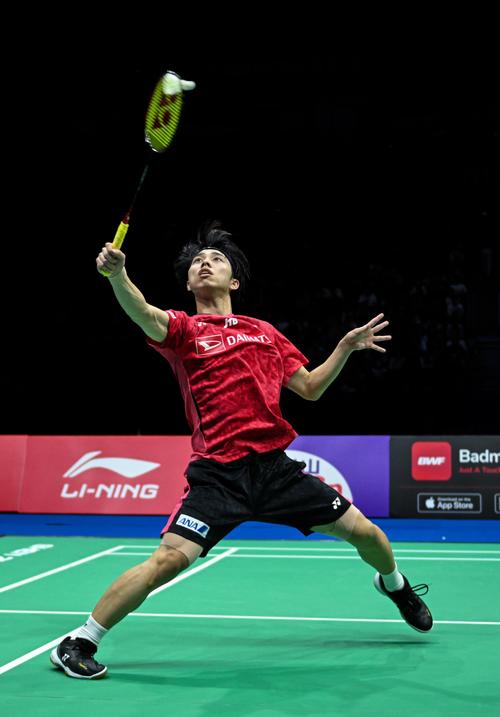 复又鸡肋 复又鸡肋